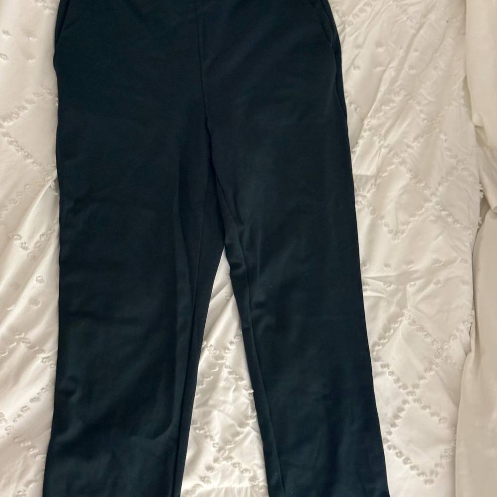 Ann Taylor dark green dress pants